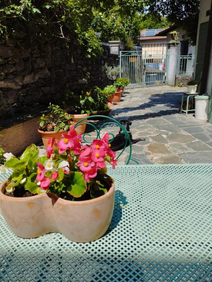 B&B Il Poggiolo Stresa Exteriér fotografie